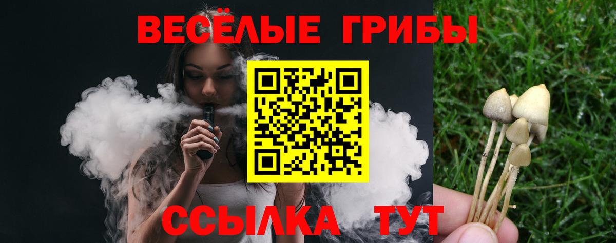 Миллерово  Псилоцибиновые грибы прущие грибы  Вход с VPN 